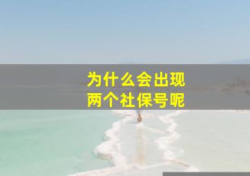 为什么会出现两个社保号呢