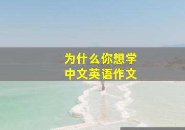 为什么你想学中文英语作文