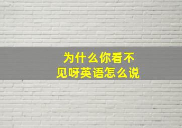 为什么你看不见呀英语怎么说