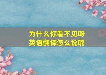 为什么你看不见呀英语翻译怎么说呢