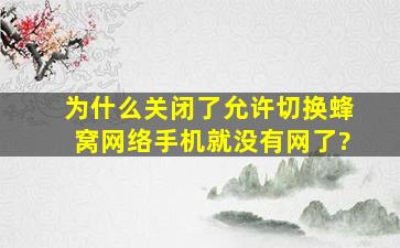 为什么关闭了允许切换蜂窝网络手机就没有网了?