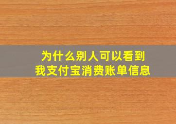 为什么别人可以看到我支付宝消费账单信息