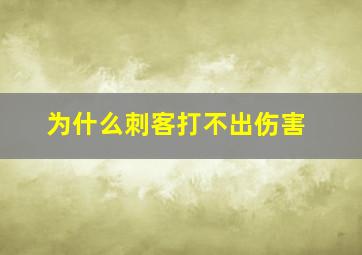 为什么刺客打不出伤害