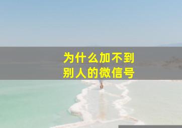 为什么加不到别人的微信号