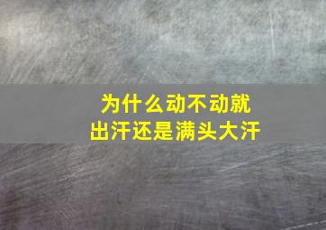 为什么动不动就出汗还是满头大汗