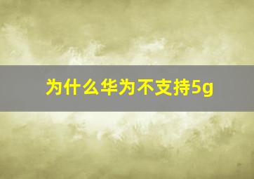 为什么华为不支持5g