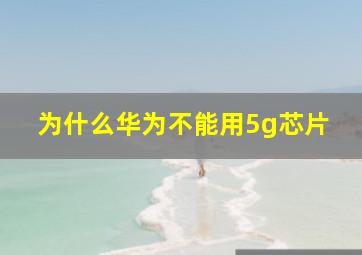 为什么华为不能用5g芯片