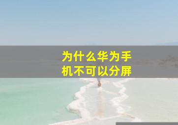 为什么华为手机不可以分屏