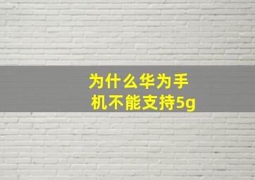 为什么华为手机不能支持5g