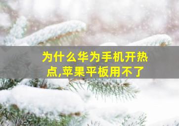 为什么华为手机开热点,苹果平板用不了