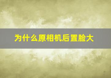 为什么原相机后置脸大