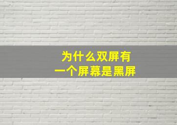 为什么双屏有一个屏幕是黑屏