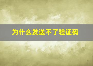 为什么发送不了验证码