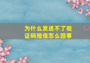 为什么发送不了验证码短信怎么回事