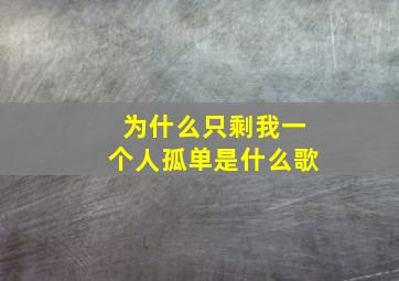 为什么只剩我一个人孤单是什么歌