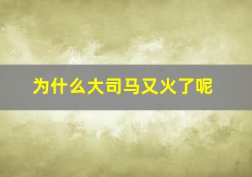 为什么大司马又火了呢