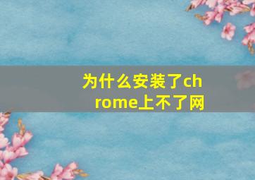 为什么安装了chrome上不了网