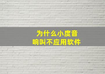 为什么小度音响叫不应用软件