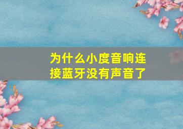 为什么小度音响连接蓝牙没有声音了