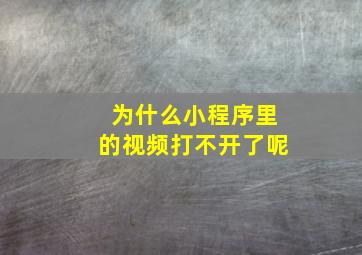 为什么小程序里的视频打不开了呢