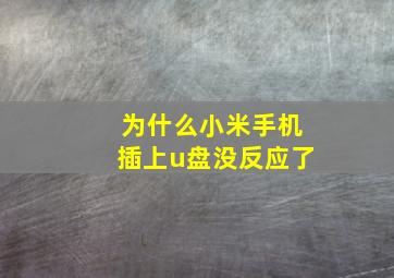 为什么小米手机插上u盘没反应了