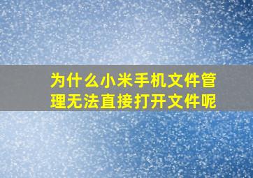 为什么小米手机文件管理无法直接打开文件呢