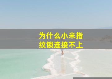 为什么小米指纹锁连接不上