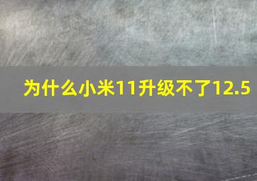 为什么小米11升级不了12.5