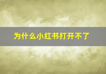 为什么小红书打开不了