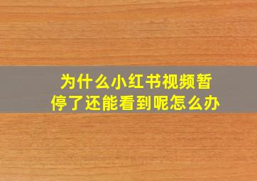 为什么小红书视频暂停了还能看到呢怎么办