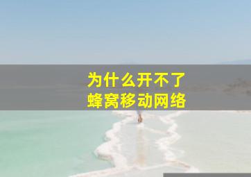 为什么开不了蜂窝移动网络