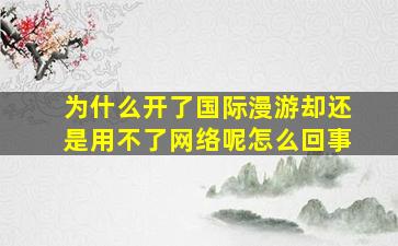 为什么开了国际漫游却还是用不了网络呢怎么回事