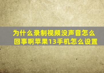 为什么录制视频没声音怎么回事啊苹果13手机怎么设置