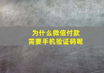 为什么微信付款需要手机验证码呢