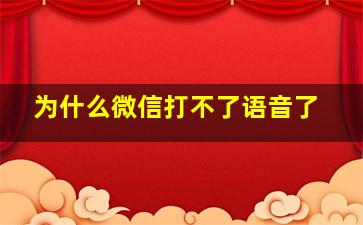 为什么微信打不了语音了