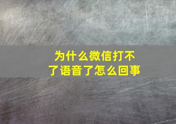 为什么微信打不了语音了怎么回事