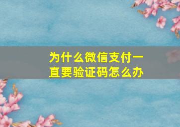 为什么微信支付一直要验证码怎么办