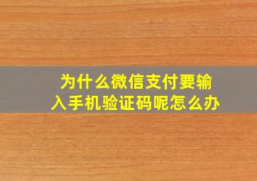 为什么微信支付要输入手机验证码呢怎么办