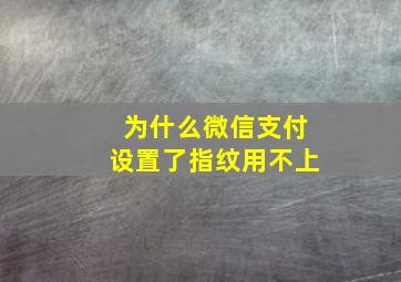 为什么微信支付设置了指纹用不上