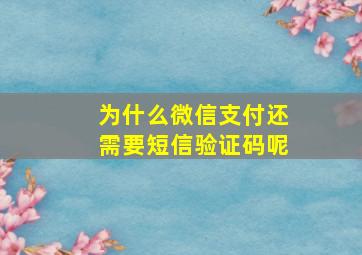 为什么微信支付还需要短信验证码呢