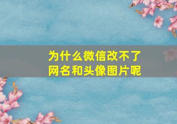 为什么微信改不了网名和头像图片呢