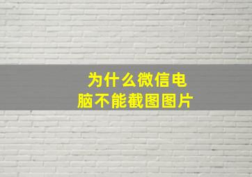 为什么微信电脑不能截图图片