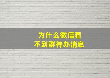 为什么微信看不到群待办消息