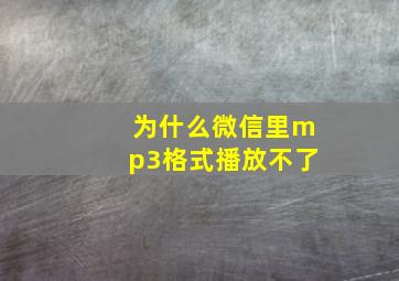 为什么微信里mp3格式播放不了