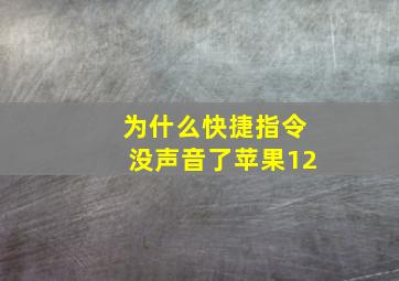 为什么快捷指令没声音了苹果12