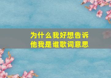 为什么我好想告诉他我是谁歌词意思