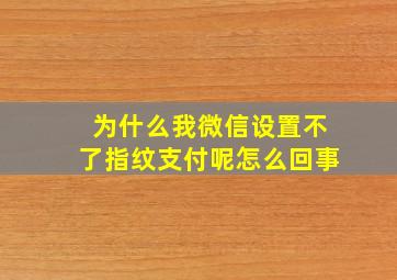 为什么我微信设置不了指纹支付呢怎么回事