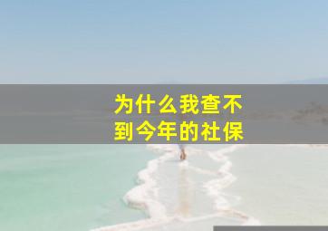 为什么我查不到今年的社保