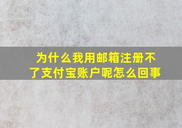 为什么我用邮箱注册不了支付宝账户呢怎么回事