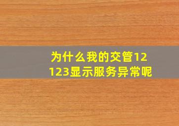 为什么我的交管12123显示服务异常呢